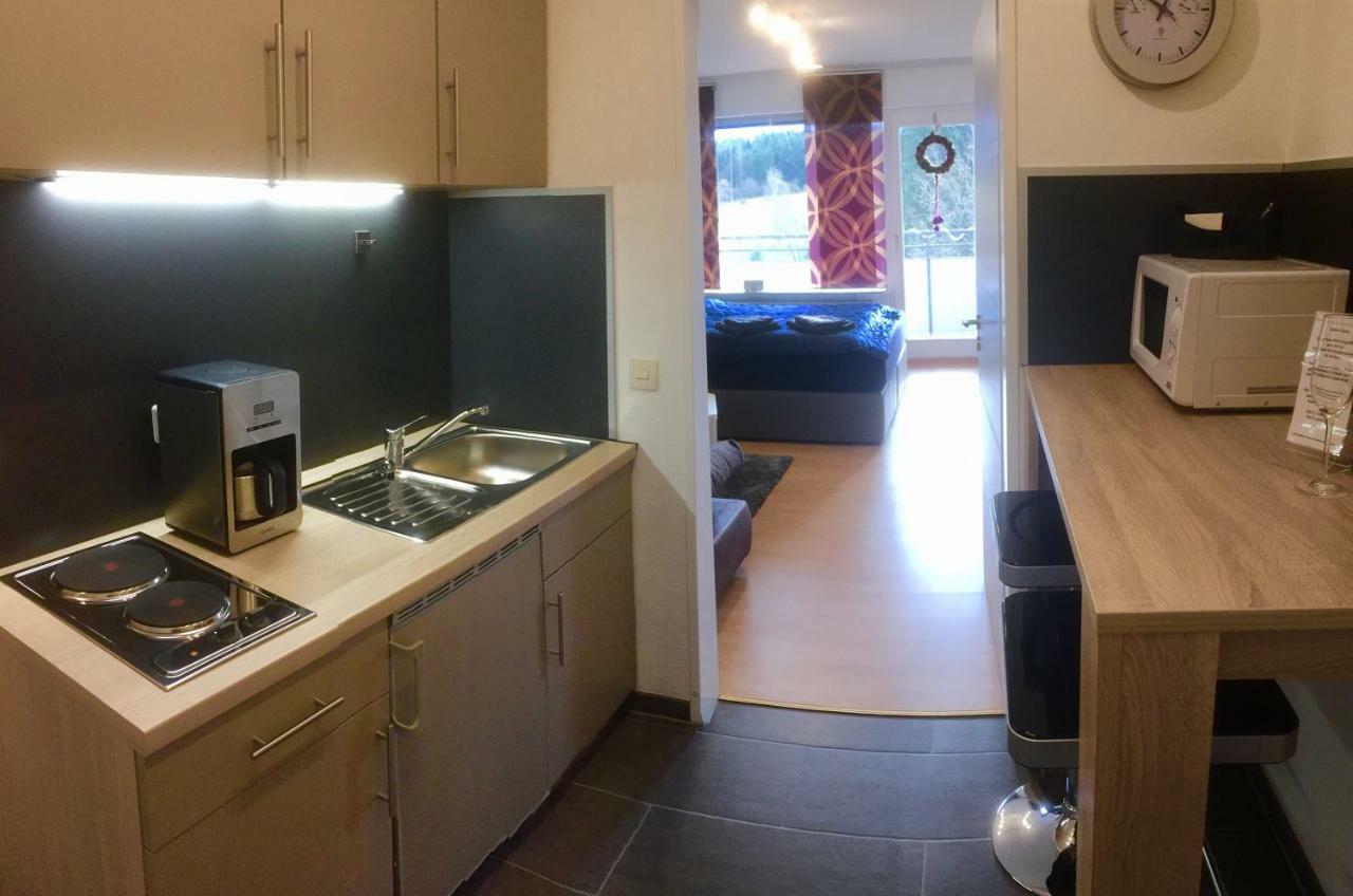 Comfort-Apartment Brilon Εξωτερικό φωτογραφία